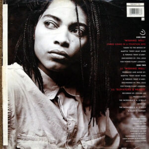 TERENCE TRENT D’ARBY – Wishing Well