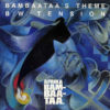 AFRIKA BAMBAATAA & FAMILY - Bambaataa's Theme/Tension