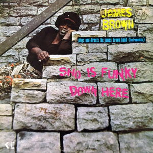 JAMES BROWN - Sho Is Funky Down Here