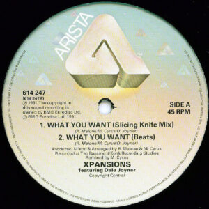 XPANSIONS feat DALE JOYNER – What You Want The Remixes