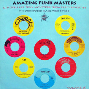 VARIOUS – Amazing Funk Masters Vol 10