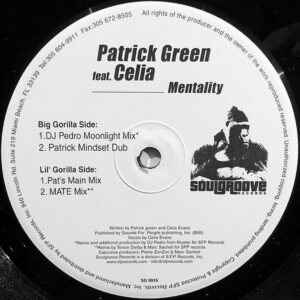 PATRICK GREEN feat CELIA - Mentality