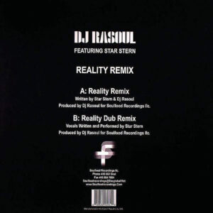 DJ RASOUL feat STAR STERN – Reality Remix
