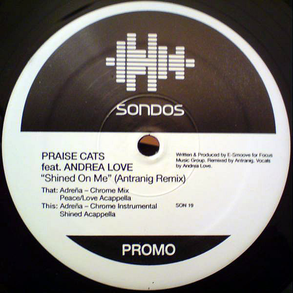 PRAISE CATS feat ANDREA LOVE - Shined On Me Remixes