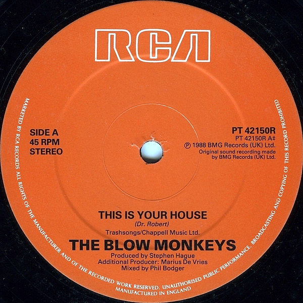 THE BLOW MONKEYS - This Is Your Life