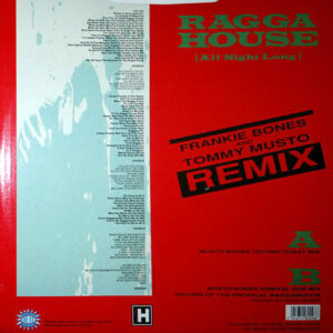 SIMON HARRIS feat DADDY FREDDY – Ragga House Remix