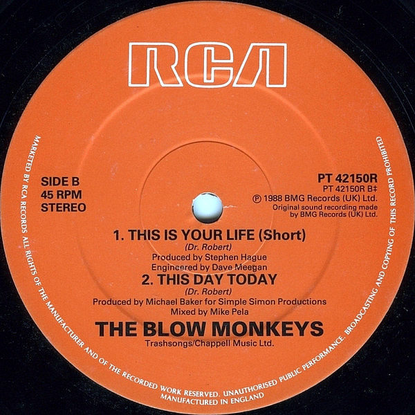 THE BLOW MONKEYS - This Is Your Life