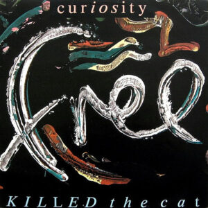 CURIOSITY KILLED THE CAT – Free