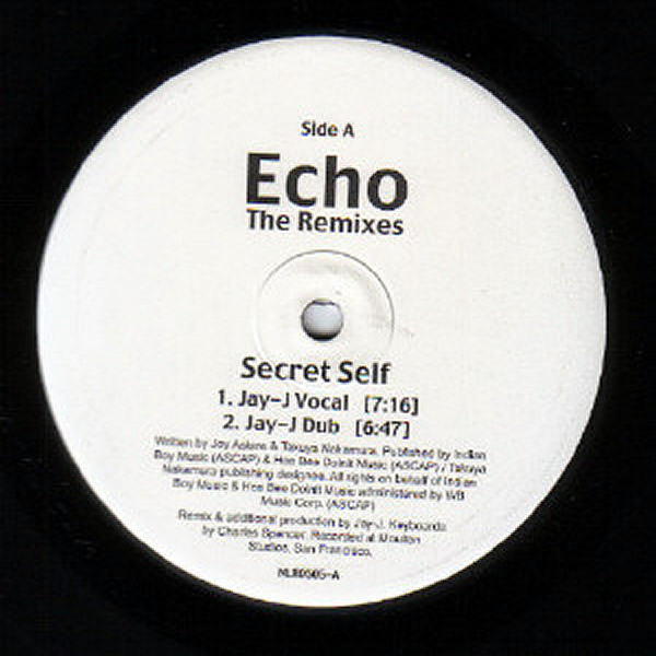 ECHO - The Remixes