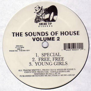 EDDIE S – The Sounds Of House Vol 2