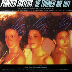 POINTER SISTERS - He Turned Me Out