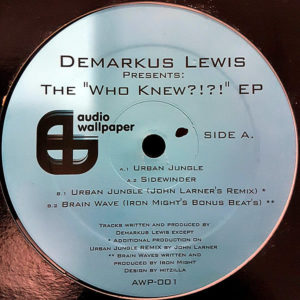 DEMARKUS LEWIS – The Who Knew EP