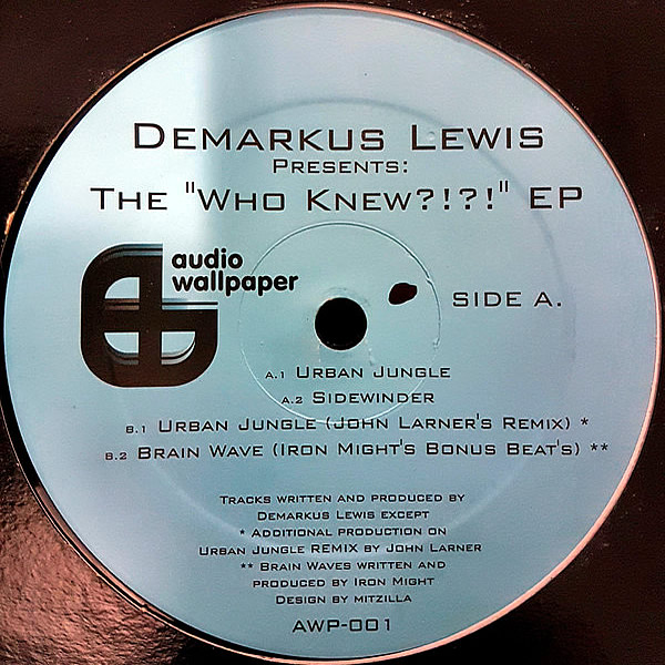DEMARKUS LEWIS - The Who Knew EP