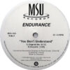 ENDURANCE - You Don't Understand