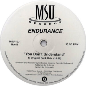 ENDURANCE – You Don’t Understand