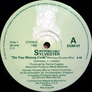 SYLVESTER feat PATRICK COWLEY – Do You Wanna Funk
