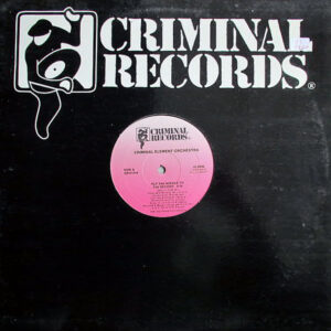 CRIMINAL ELEMENT ORCHESTRA - Put The Needle To The Record