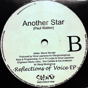 VARIOUS - Reflections Of Voice EP