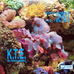 K.T.E. KEY TRONICS ENSEMBLE - House Of Calypso Remix