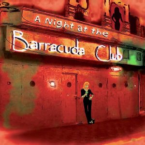 SOLU MUSIC - A Night At The Barracuda EP