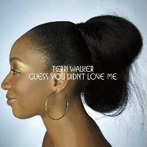 TERRI WALKER - Guess You Didn't Love Me
