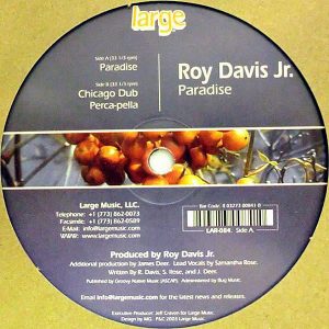 ROY DAVIS JR – Paradise