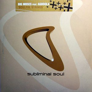 BIG MOSES feat AGBOOLA - Soulful Strings