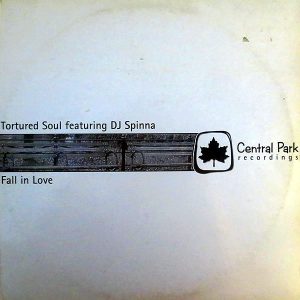 TORTURED SOUL feat DJ SPINNA - Fall In Love