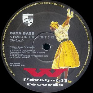 DATA BASS – A Trip In The Night