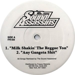 THE SOUND ASSASSINS - Milk Shakin' The Reggae Ton