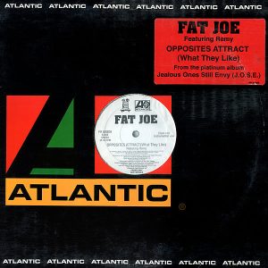 FAT JOE feat REMY - Opposites Attract What They Like