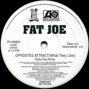 FAT JOE feat REMY – Opposites Attract What They Like