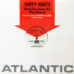 NAPPY ROOTS - What Cha Gonna Do?