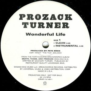 PROZAC TURNER – Wonderful Life