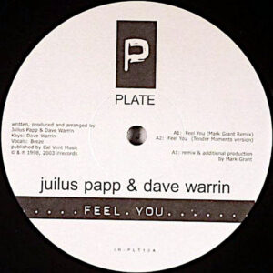 JULIUS PAPP & DAVE WARRIN – Feel You