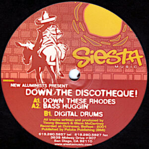 NEW ALUMINISTS – Down The Discotheque