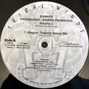 TRIBAL WINDS presents Introspection Another Perspective Vol 2