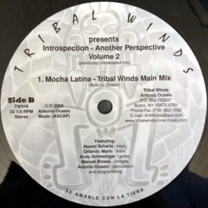 TRIBAL WINDS presents – Introspection Another Perspective Vol 2