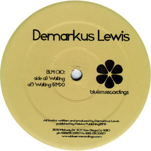 DEMARKUS LEWIS Waiting/Talk To Me/In The Dark