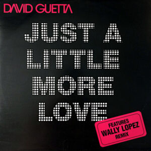 DAVID GUETTA feat CHRIS WILLIS – Just A Little More Love