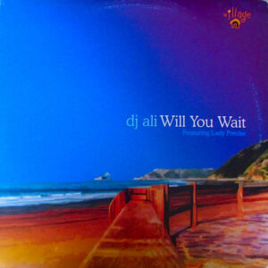 DJ ALI feat LADY PRECISE Will You Wait