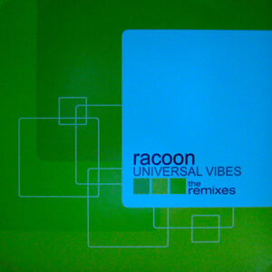 RACOON Universal Vibes The Remixes