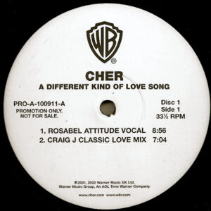 CHER A Different Kind Of Love Song
